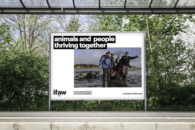 ifaw | Base Design