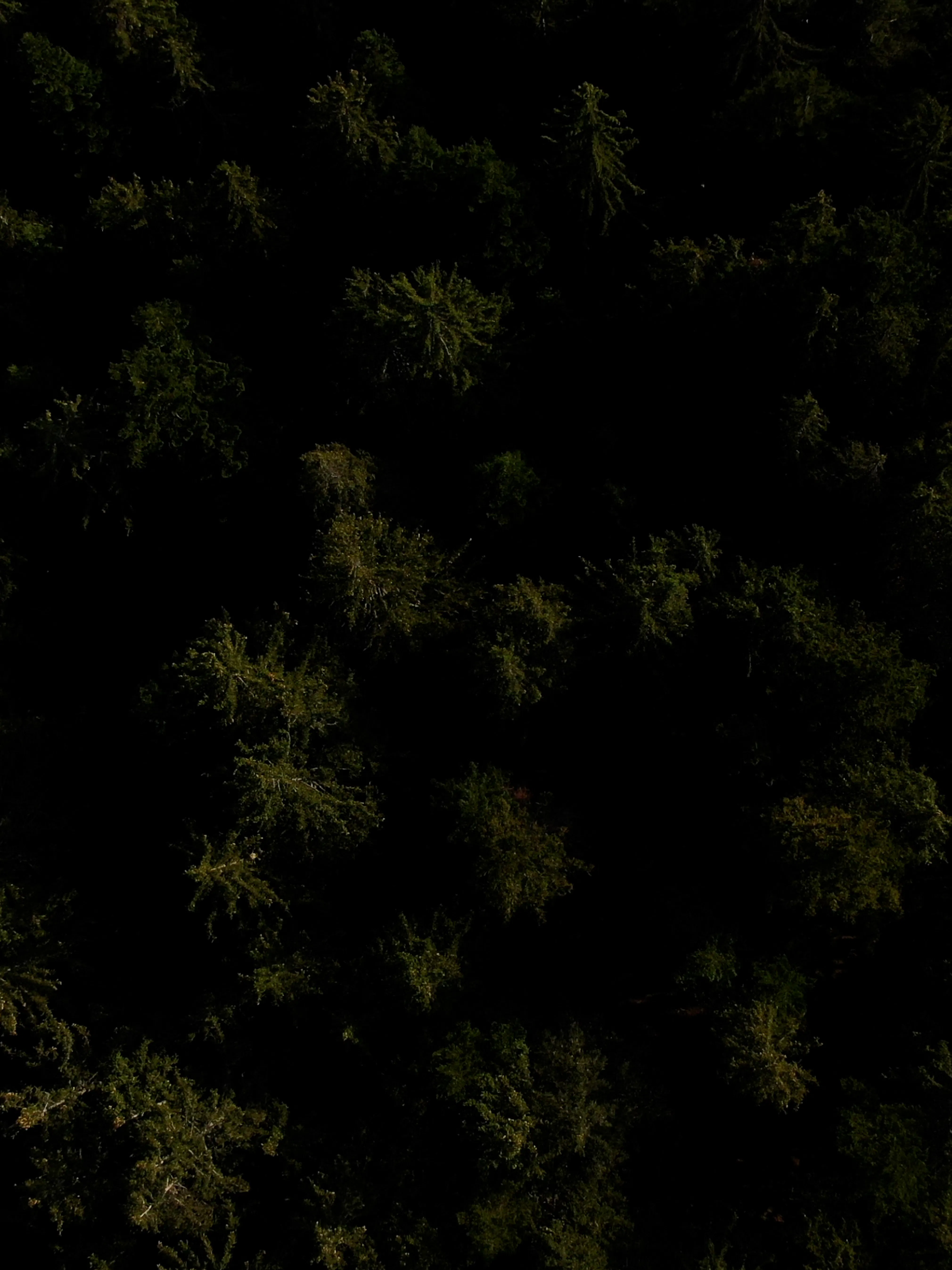 No description available